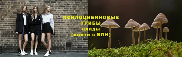 крисы Балабаново