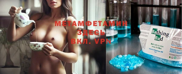 сатива Балахна