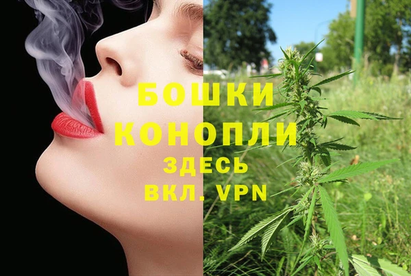 сатива Балахна