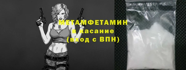 сатива Балахна