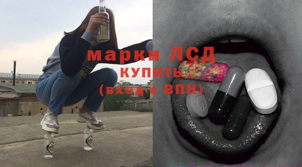 сатива Балахна