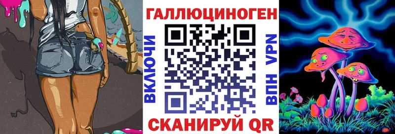 дарнет шоп Козельск Галлюциногенные грибы прущие грибы
